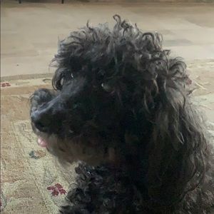 Meet your Posher, Linda